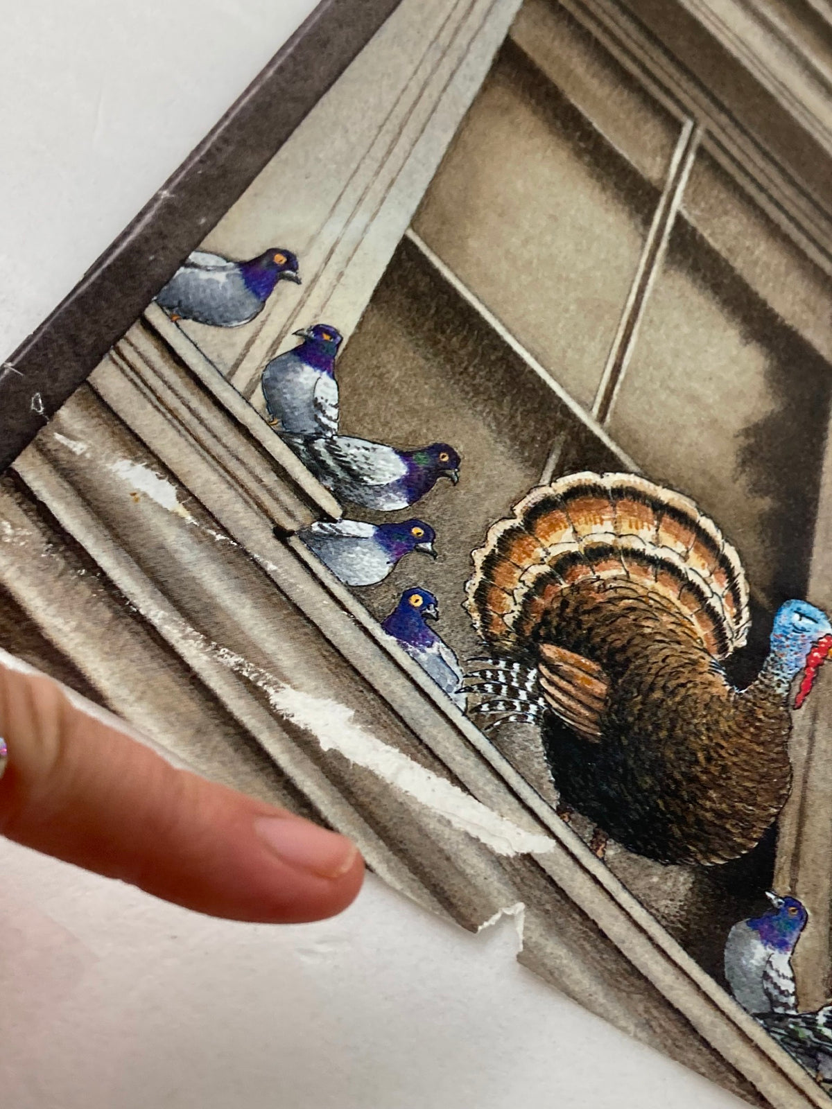 Detail of 'Turkey at Peace' cover from The New Yorker December 1, 2008, featuring a turkey and pigeons on a windowsill, showcasing Harry Bliss's artistic design.