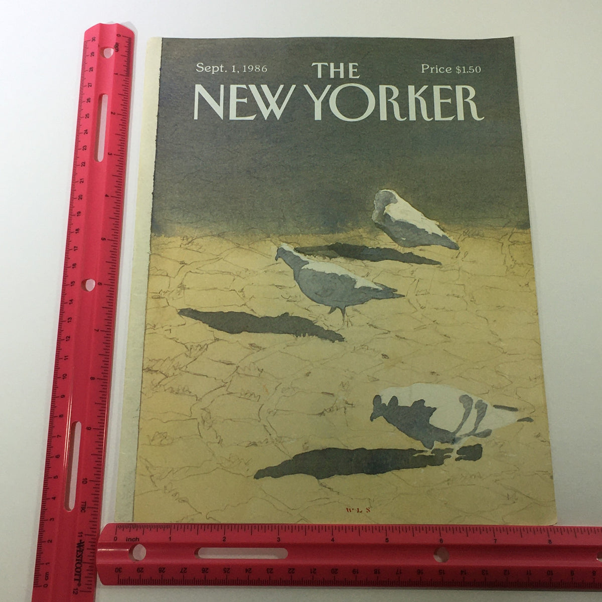 Cover of The New Yorker Magazine from September 1, 1986, with a ruler for size reference, highlighting the artistic illustration of pigeons on a dry landscape.