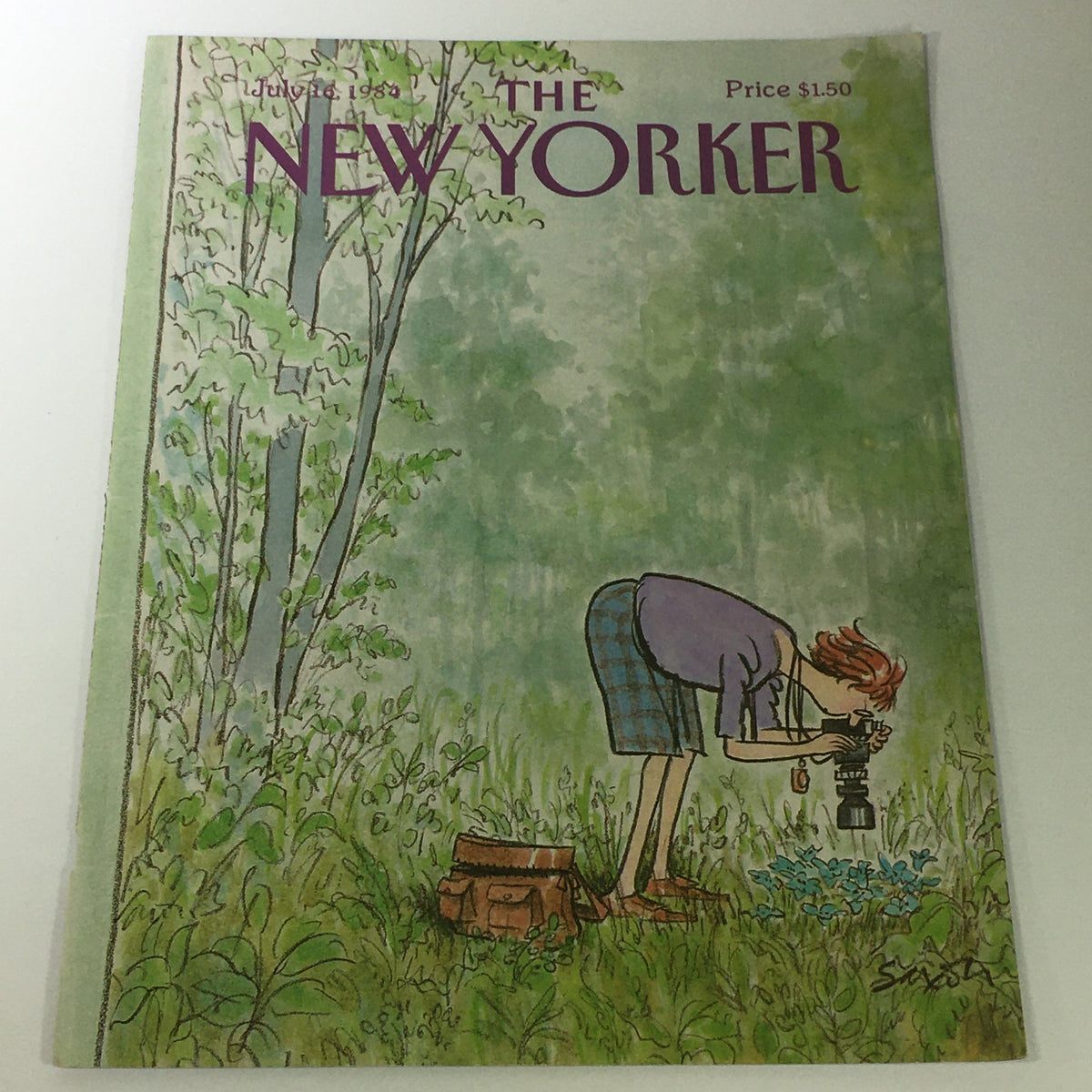 Cover only of The New Yorker Magazine dated July 16, 1984, featuring an illustration of a woman photographing flowers in a green landscape, designed by Charles Saxton.