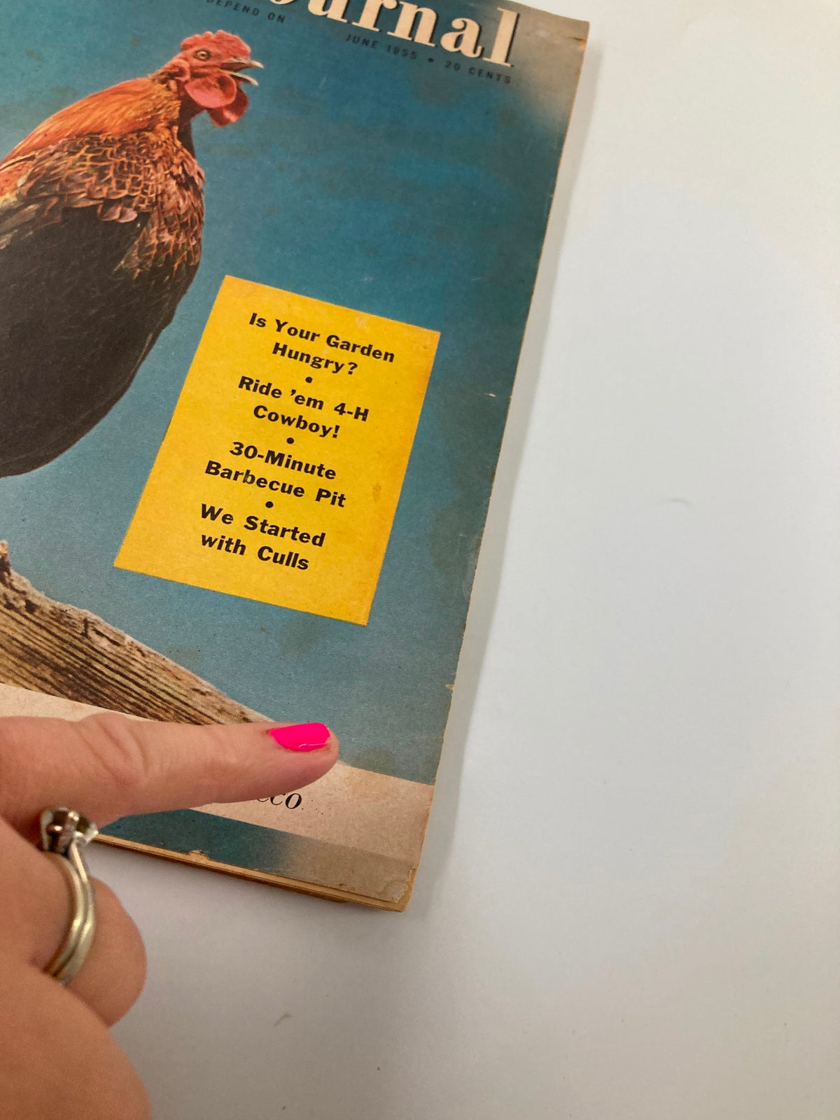 Close-up view of the VTG Farm Journal Magazine June 1955 cover, highlighting a rooster and the highlighted articles on topics such as gardening and barbecuing.
