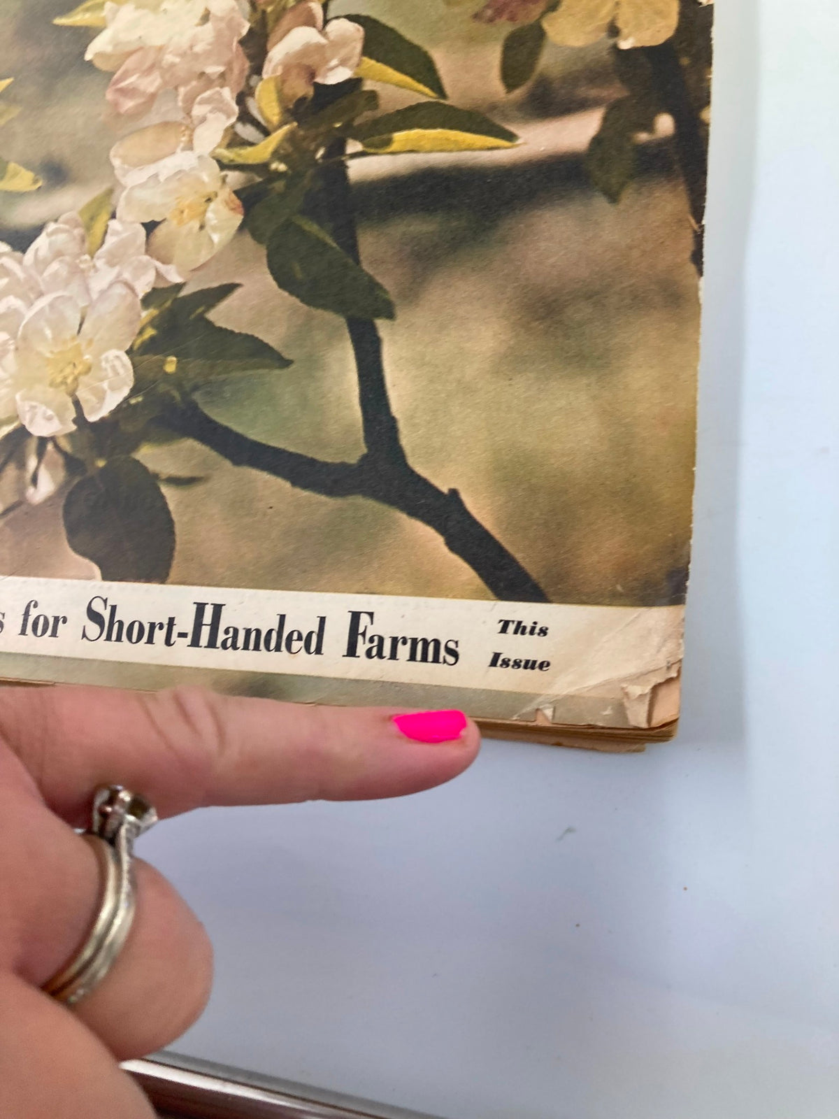 Detail view of VTG Farm Journal Magazine April 1951 highlighting the subtitle related to farming and the issue date.