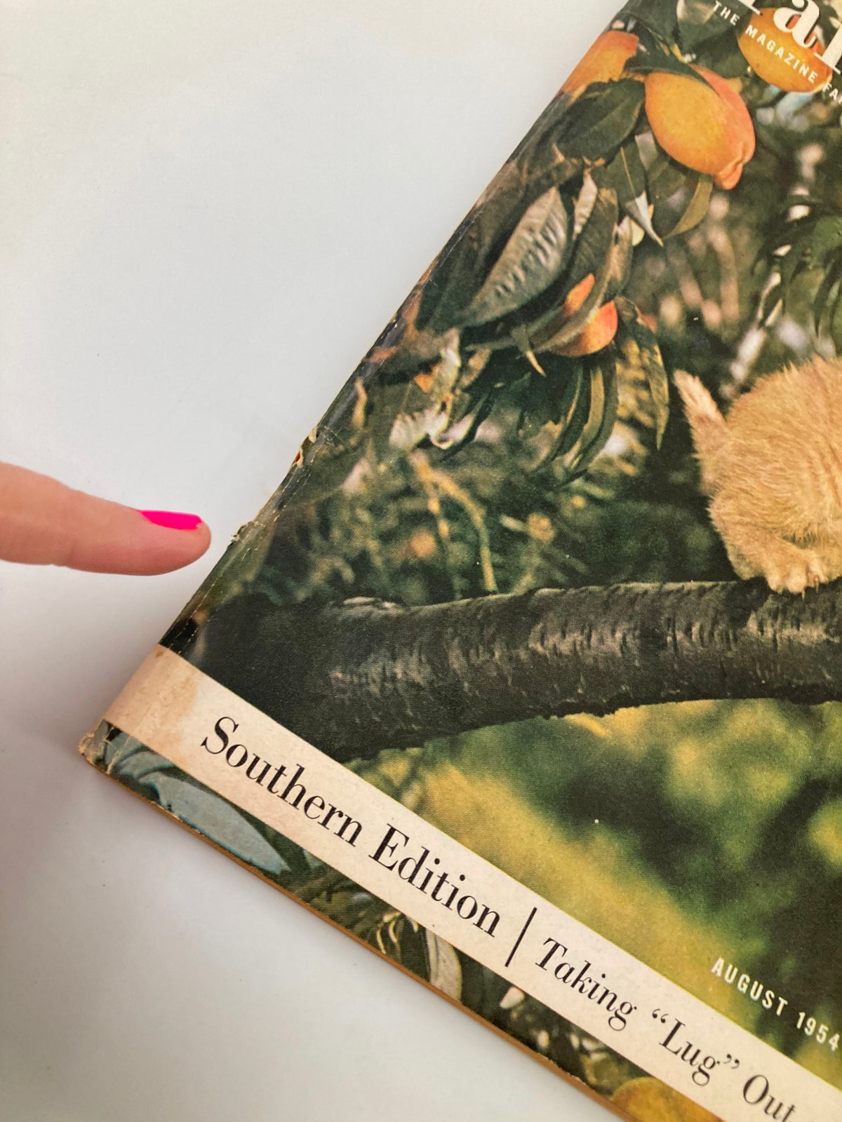 Close-up of the corner of the VTG Farm Journal Magazine August 1954 cover showcasing the Southern Edition label and visual details.
