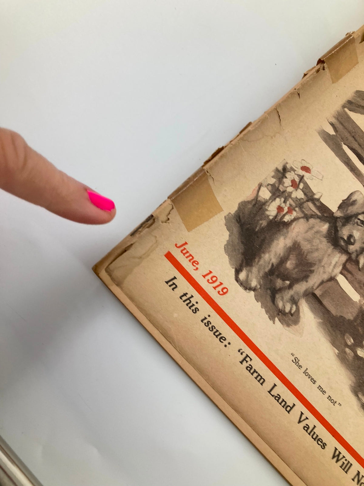 Detail of The Farm Journal magazine cover from June 1919, showing the publication date and mention of farm land values, emphasizing its collectible nature.