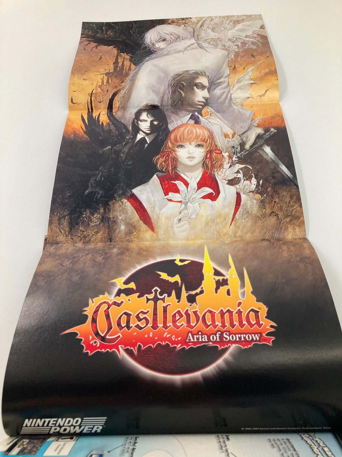 Poster from Nintendo Power Magazine May 2003 #168 featuring artwork from Castlevania: Aria of Sorrow, showcasing characters in an atmospheric setting.