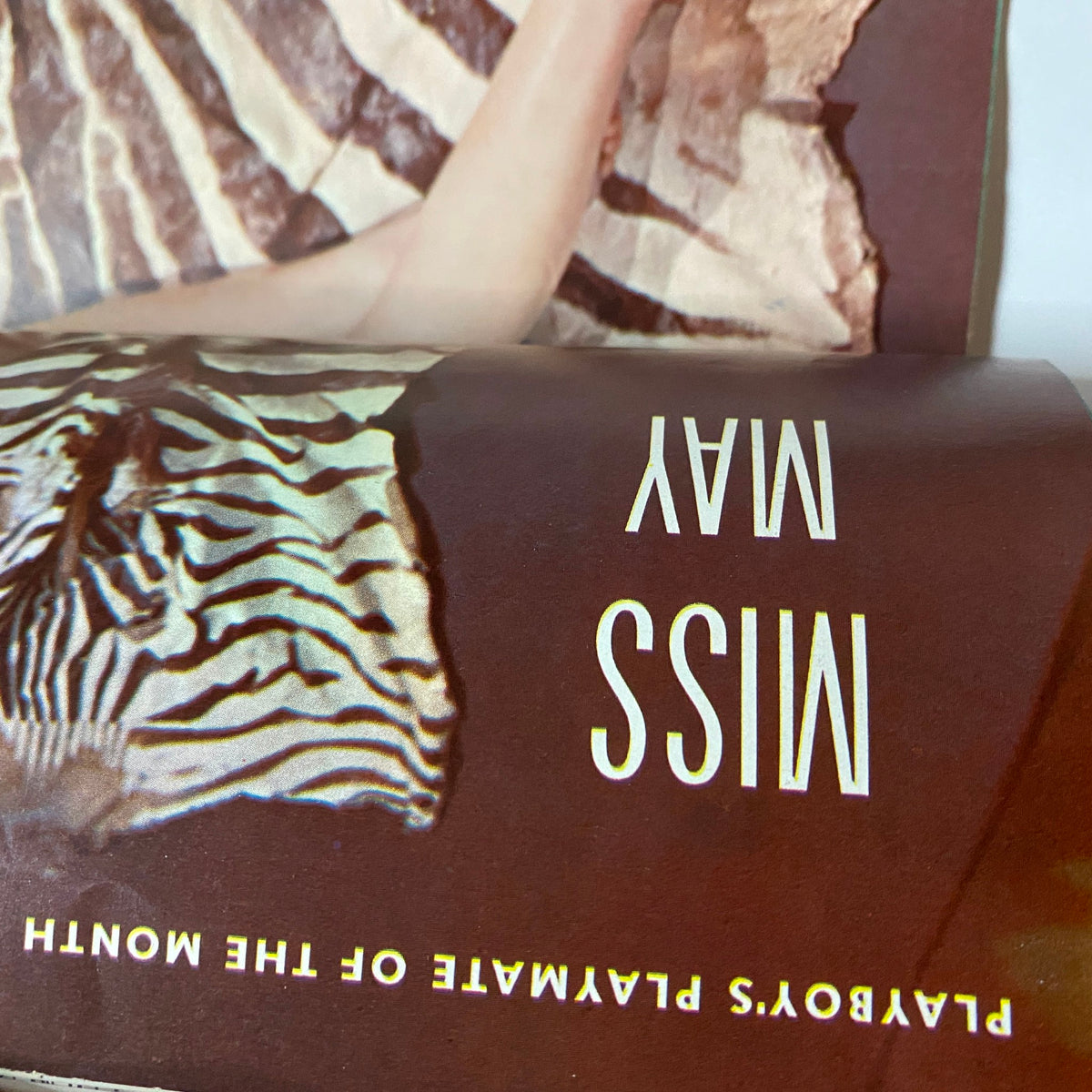 Inside page of VTG Playboy Magazine May 1954 showcasing 'Miss May' as the centerfold, featuring artistic details with striking zebra patterns.