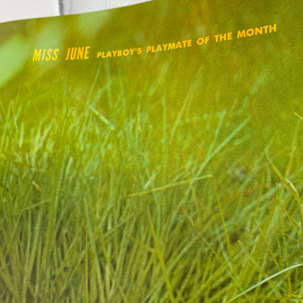VTG Playboy Magazine June 1962 featuring Merissa Mathes, highlighting the text 'Miss June Playboy's Playmate of the Month' on a grassy background.