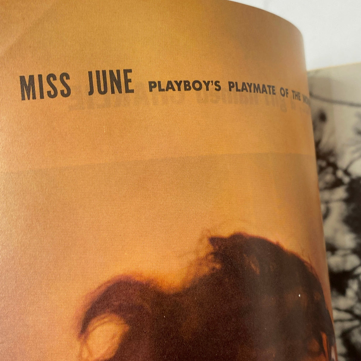 Vintage Playboy Magazine June 1959 Playmate Marilyn Hanold w Centerfold No Label