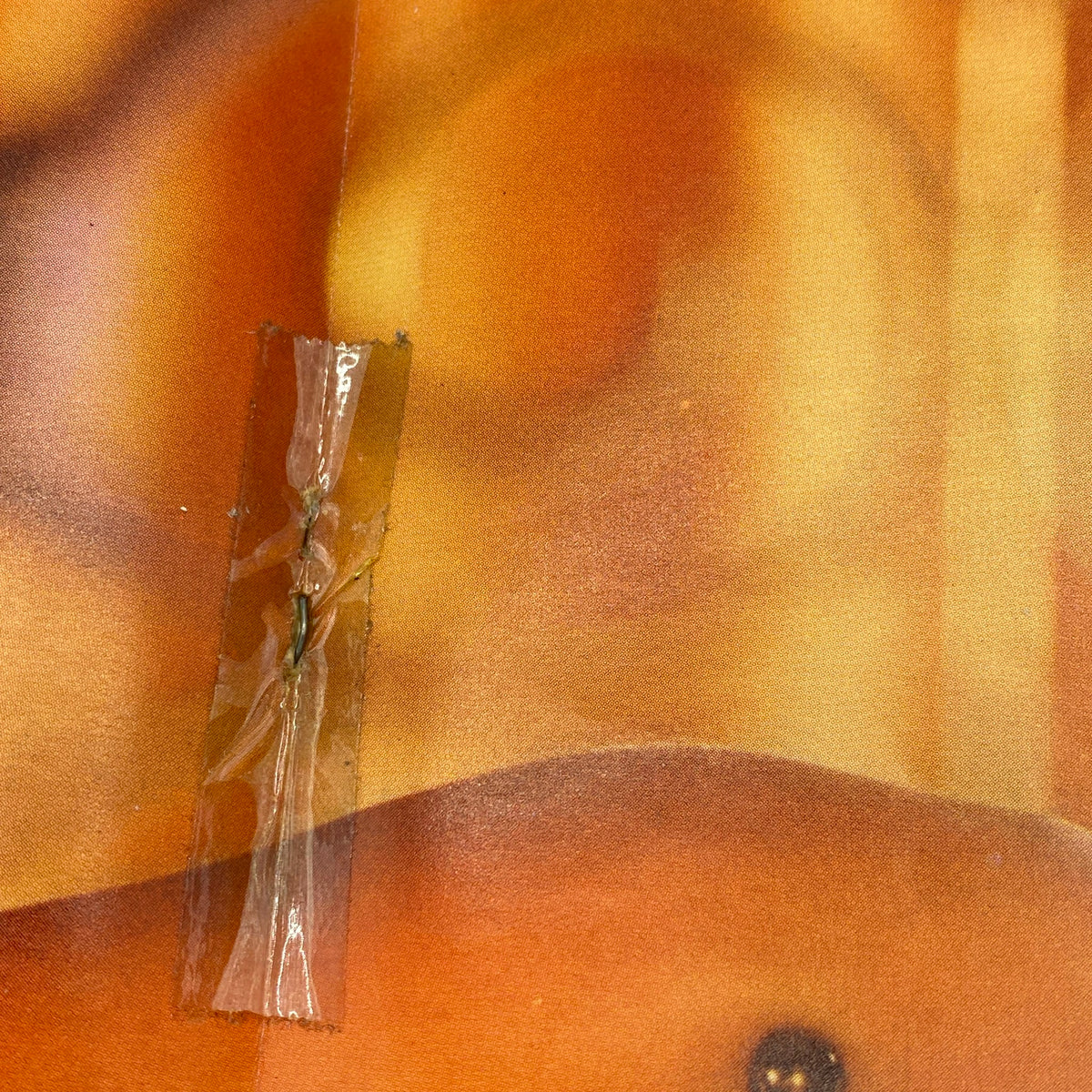 Close-up of a tape repair on a vintage Playboy magazine centerfold from May 1960 featuring Ginger Young.