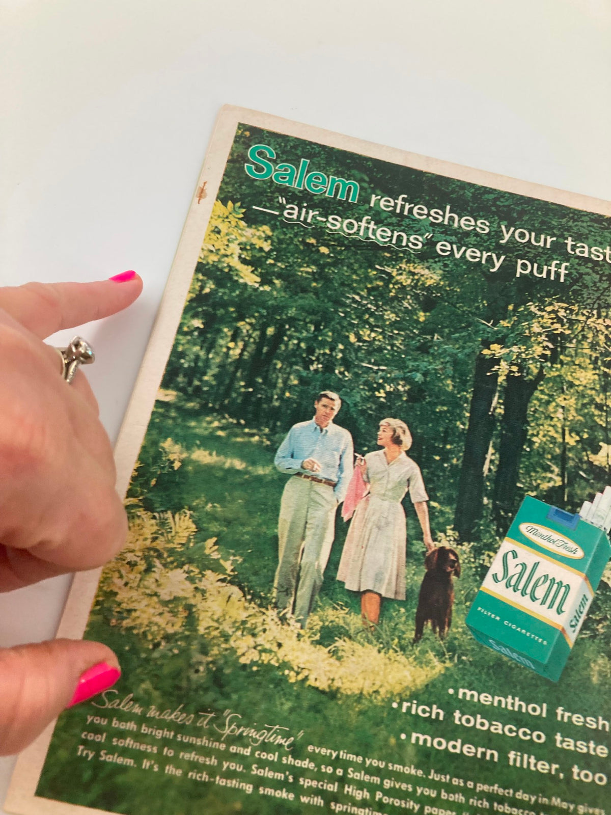 Vintage advertisement featuring a man and woman walking with a dog in a lush green setting, from the October 8 1960 Football Maine New Hampshire Homecoming Souvenir Official Program.