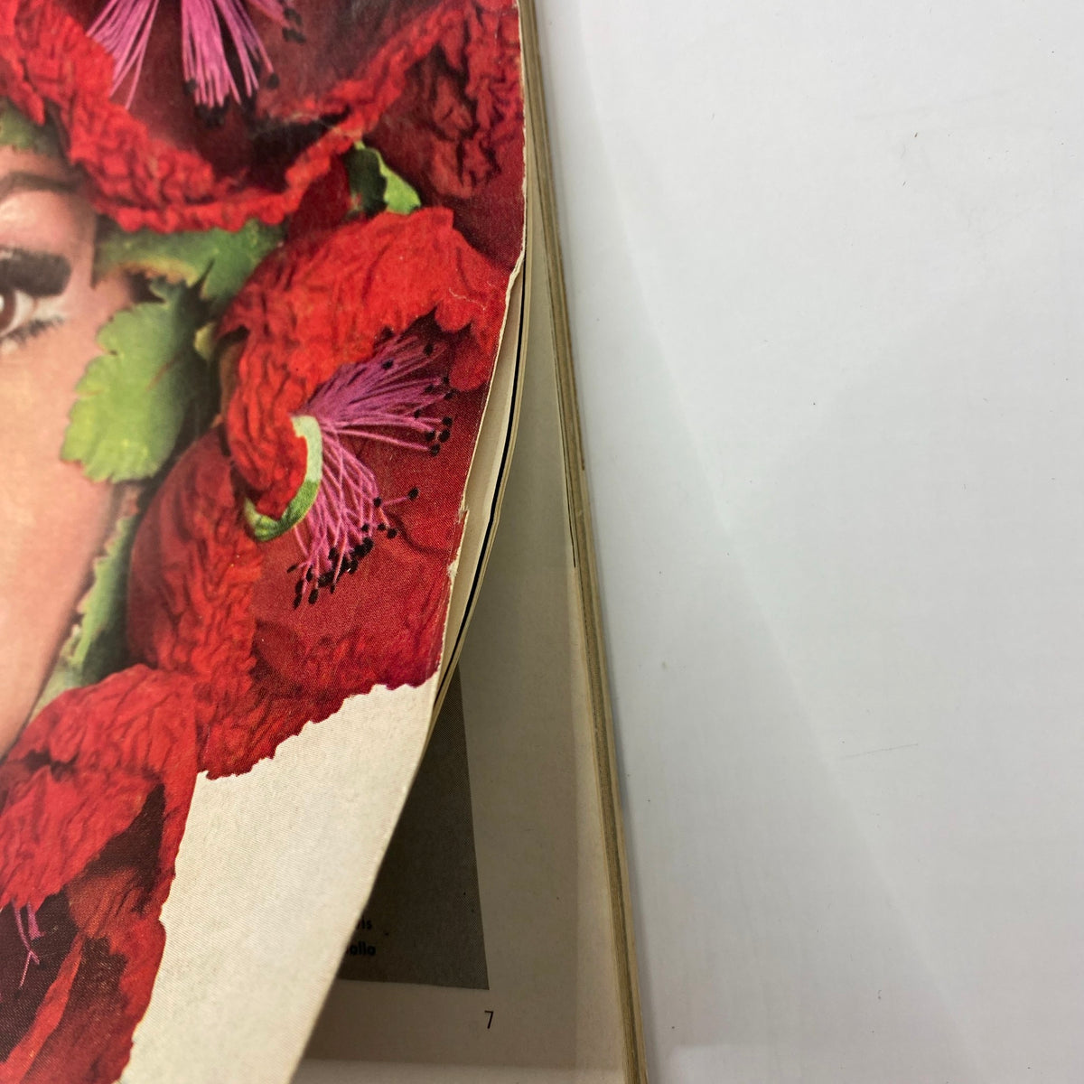 Detail from the VTG Vogue Magazine April 1 1965 Sue Murray Cover, showcasing vibrant floral fashion design.