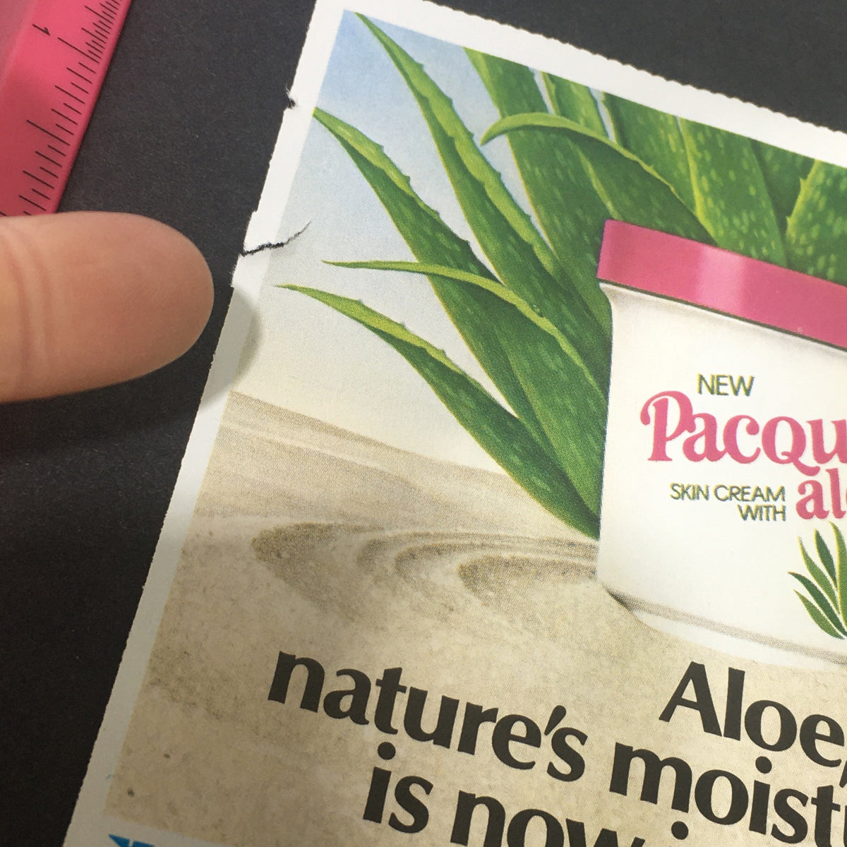 Close-up view of the VTG Retro 1983 Pacquin Aloe Skin Cream ad highlighting the product's moisturizing properties, with focus on the aloe plant and branding.