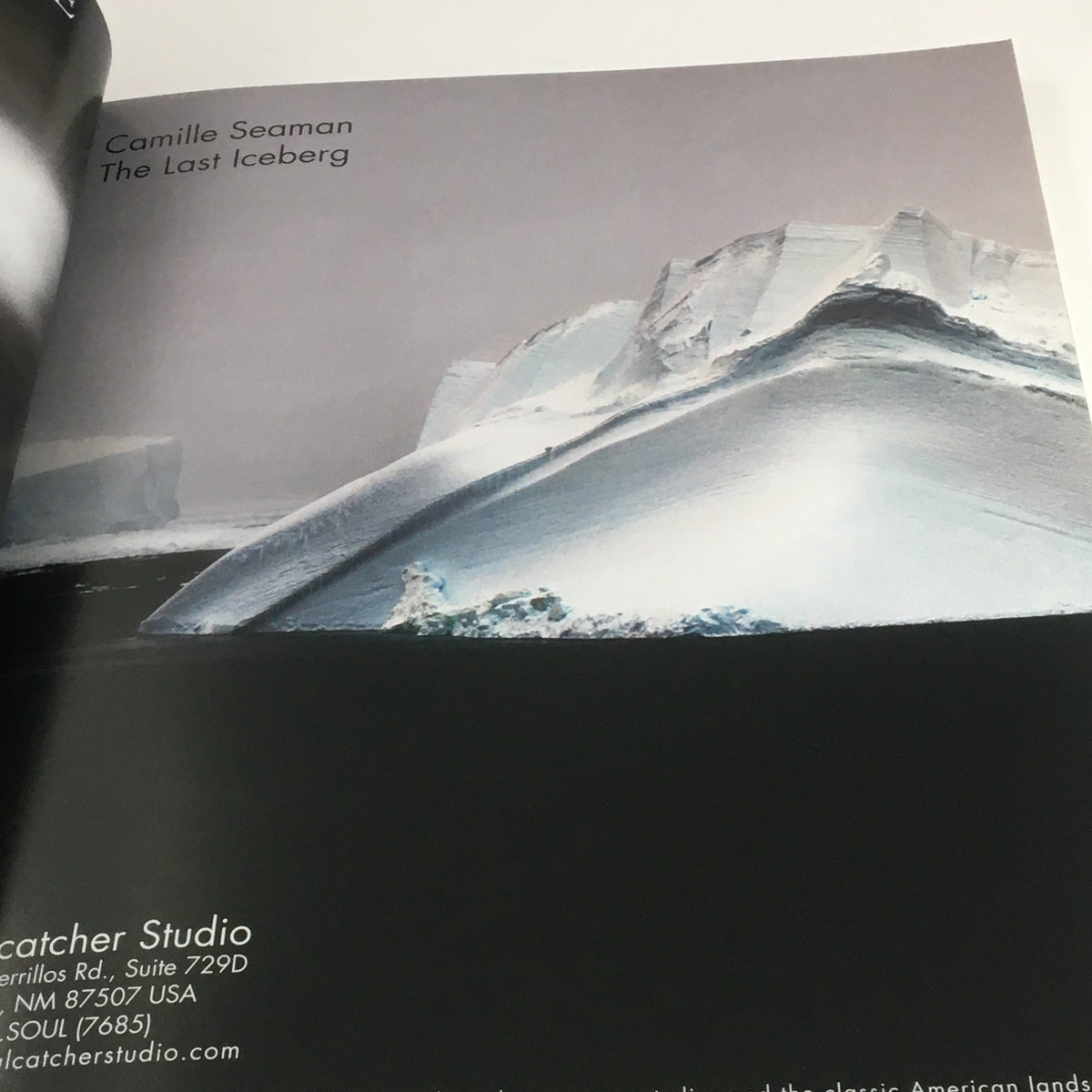 Interior page from Focus Photography Magazine February 2008 showcasing a work titled The Last Iceberg by Camille Seaman, illustrating fine art photography.