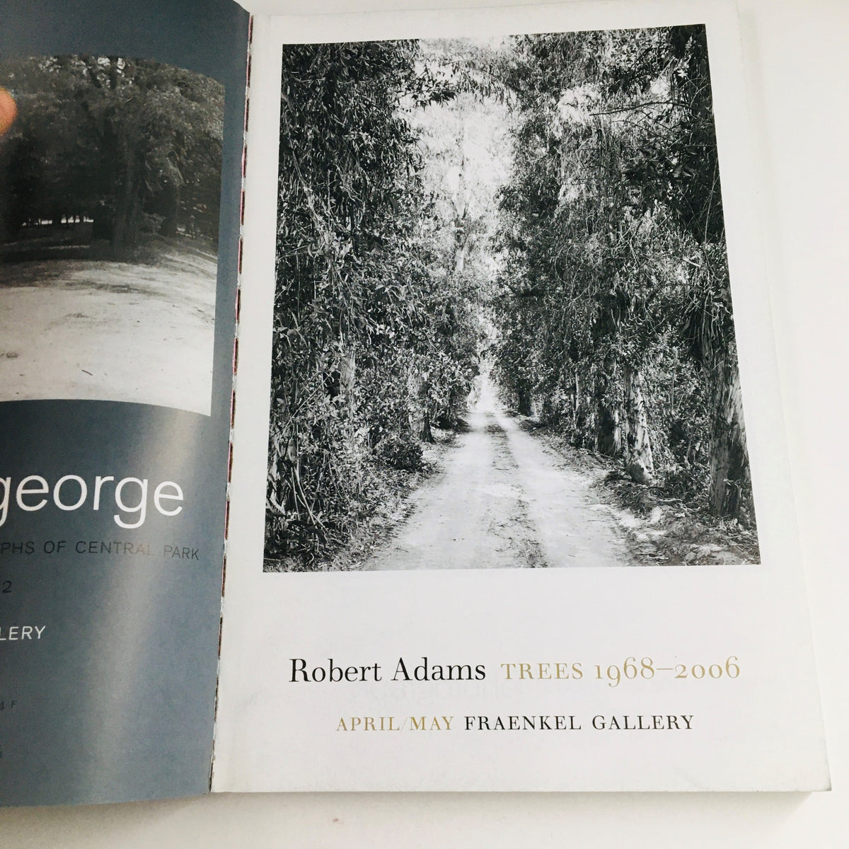 Interior page of Photograph Magazine March 2007 featuring an advertisement for the Robert Adams exhibition, Trees 1968-2006, highlighting contemporary photography themes.