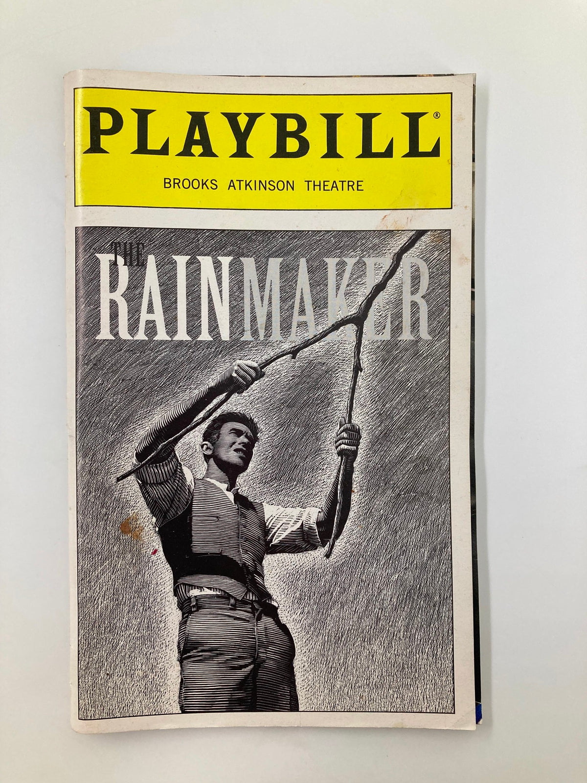 1999 Playbill for The Rain Maker showcasing the cover design featuring a man holding a branch, representing the Brooks Atkinson Theatre production with Woody Harrelson.