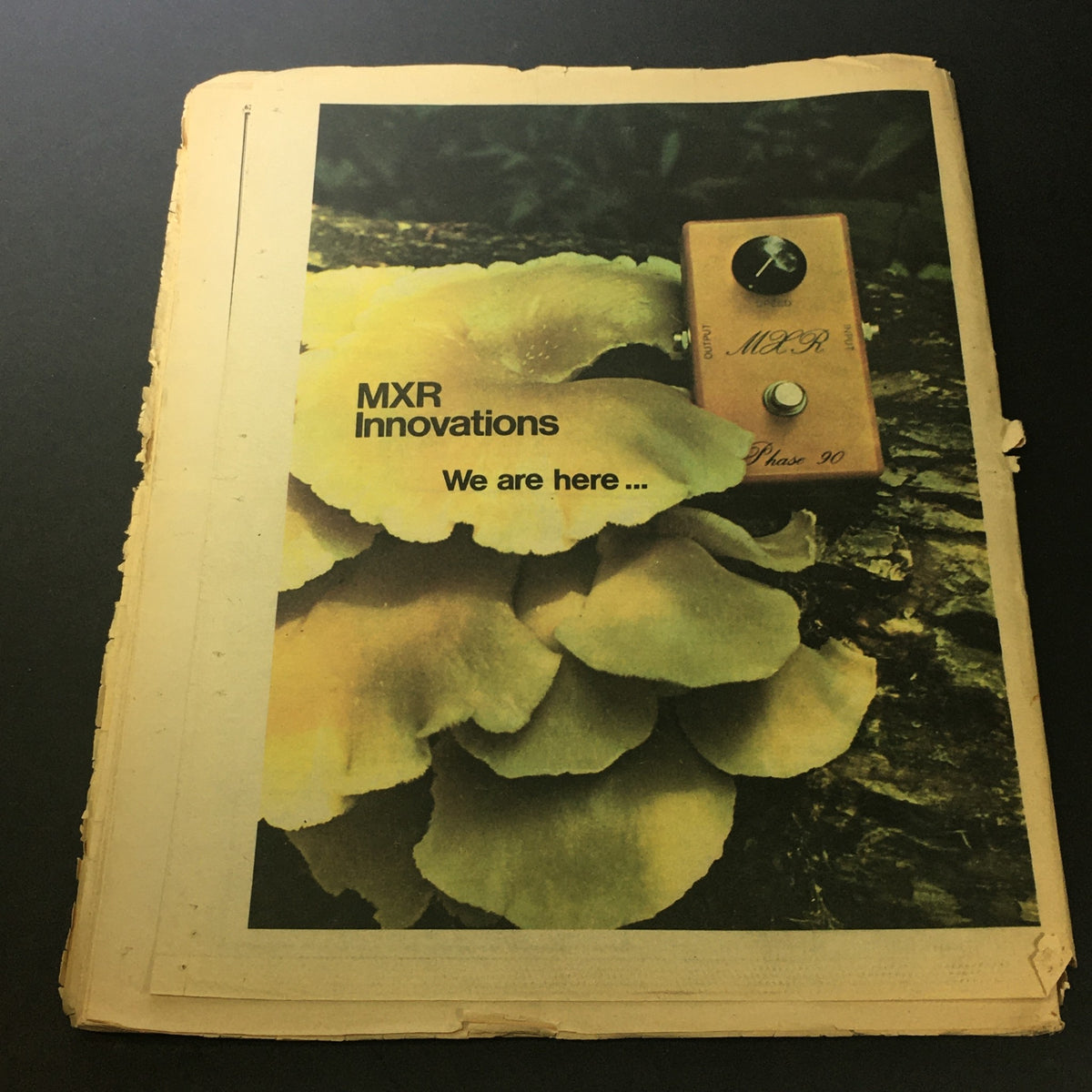 Cover of VTG Rolling Stone Magazine August 15 1974 featuring Steely Dan, highlighting the band's unique sound with a vibrant image of mushrooms and an MXR Innovations Phase 90 pedal.