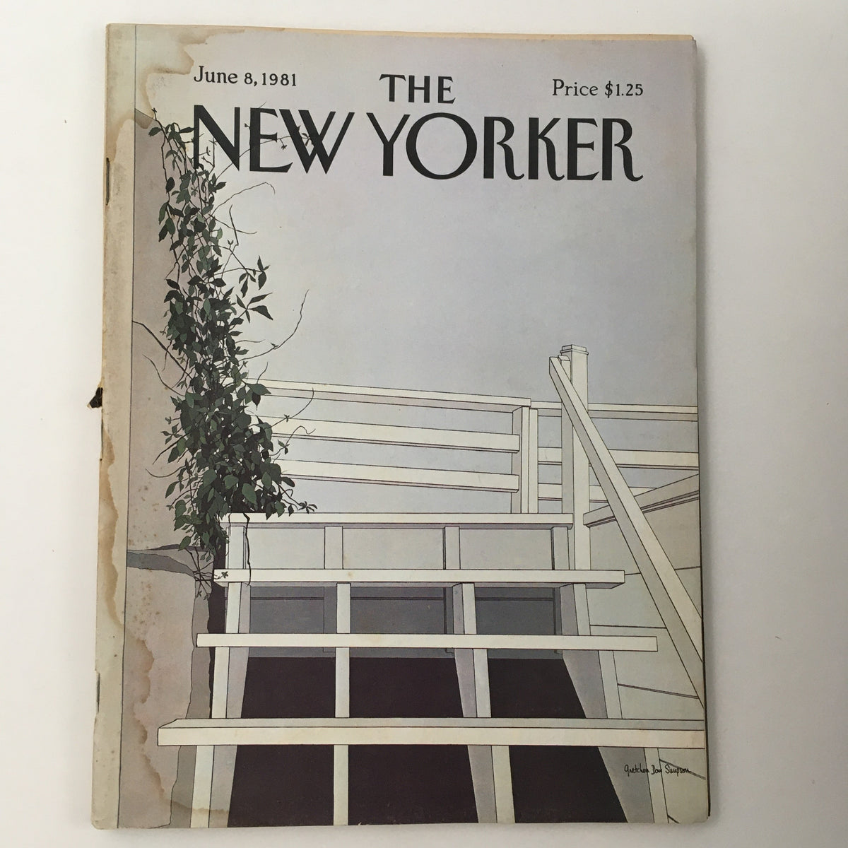 Cover of The New Yorker Magazine June 8, 1981 featuring theme art by Gretchen Dow Simpson, illustrating a staircase with foliage.