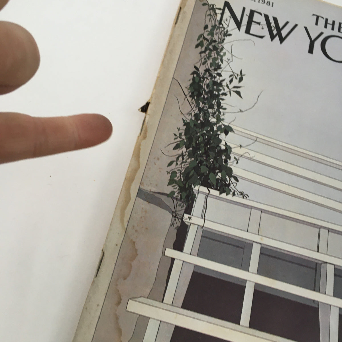 Close-up view of The New Yorker Magazine June 8, 1981 cover, showcasing a staircase and plant design by Gretchen Dow Simpson.