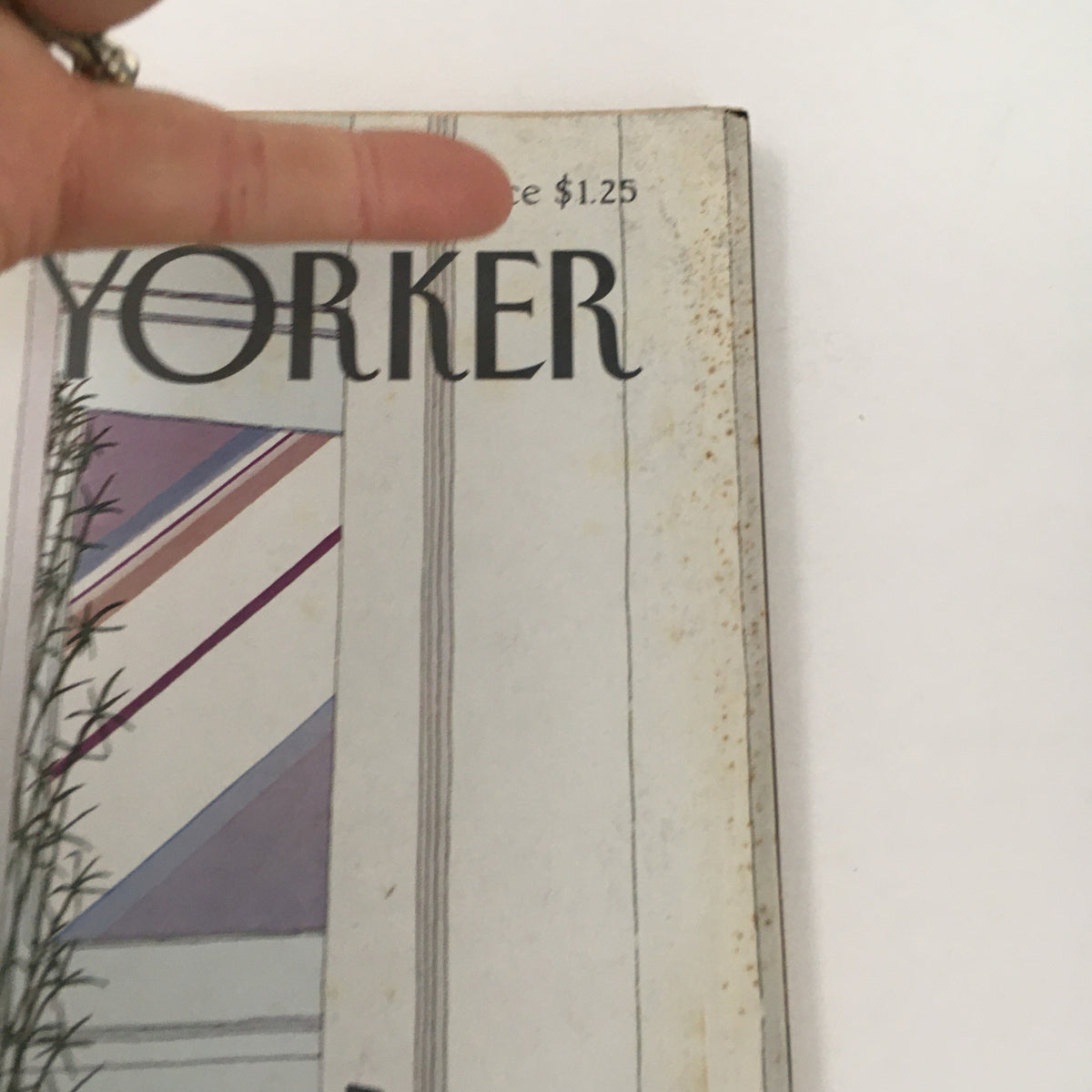 Close-up of The New Yorker Magazine October 26 1981 cover highlighting the magazine title and the price of $1.25.