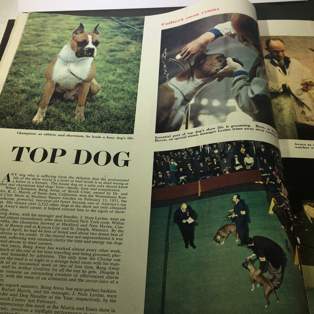 Vintage Collier's Magazine June 2 1951 Big Business Must Help Our Colleges