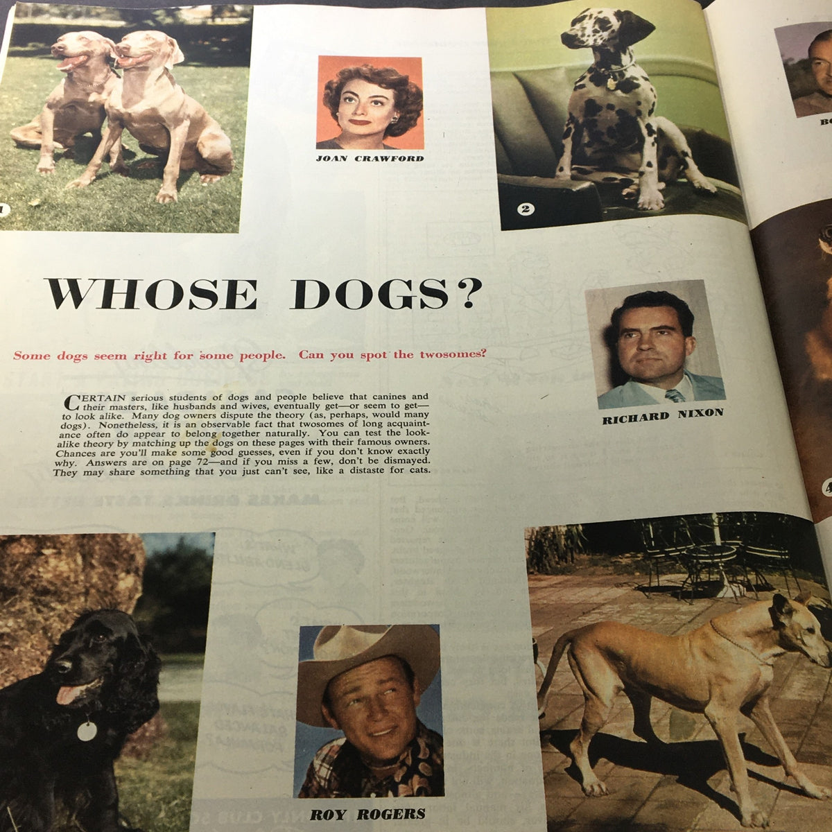 Collage from VTG Collier's Magazine April 4, 1953, titled 'Whose Dogs?', featuring celebrities with their dogs, illustrating the relationship between pets and their owners.
