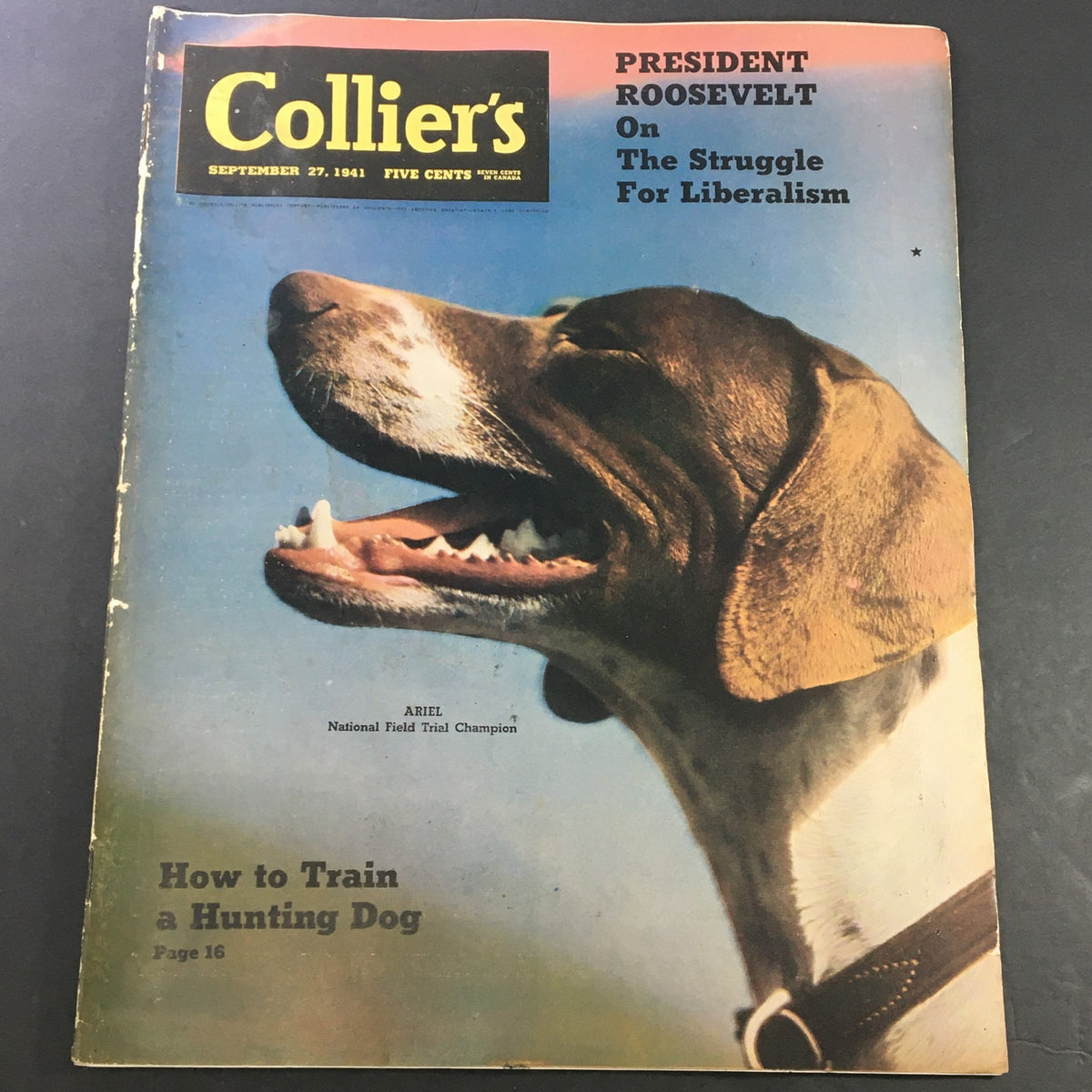 Cover of VTG Collier's Magazine from September 7, 1941, featuring an article on 'How to Train a Hunting Dog' with a smiling hunting dog illustration, showcasing vintage design elements.