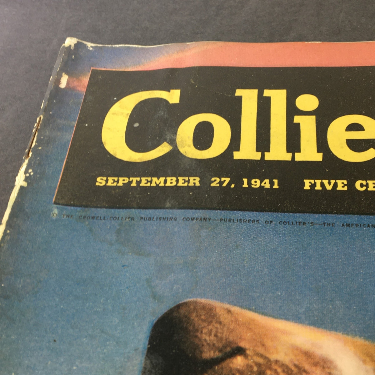 Cover of VTG Collier's Magazine September 7 1941 featuring the title and a dog. This collectible magazine offers articles on topics like hunting dog training.