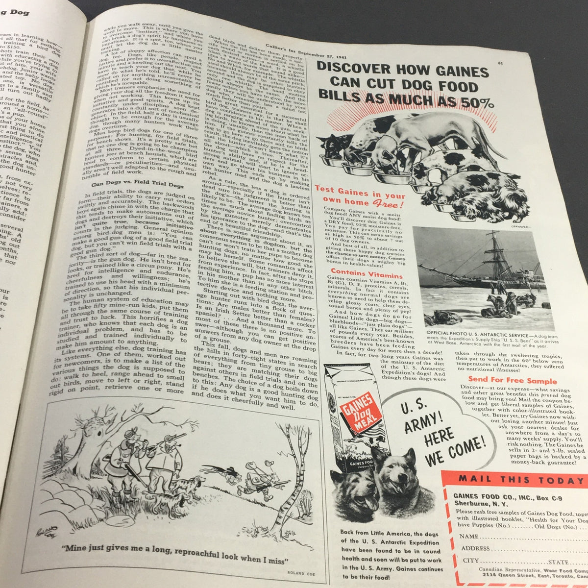 VTG Collier's Magazine September 7 1941 page discussing dog training tips and featuring an advertisement for Gaines dog food.