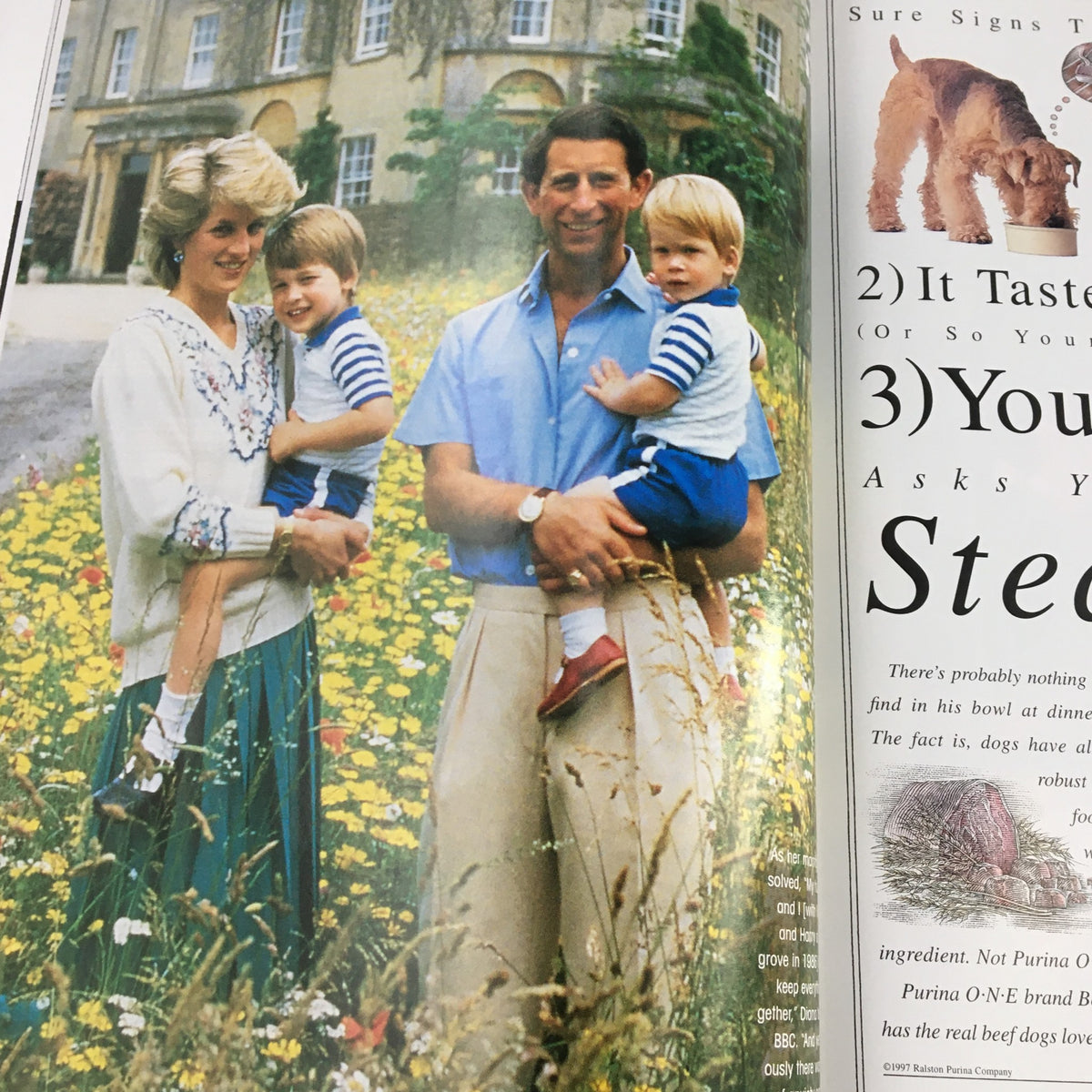 People Weekly Fall 1997 Princess Diana Cover featuring Diana with her children and Prince Charles in a floral garden.