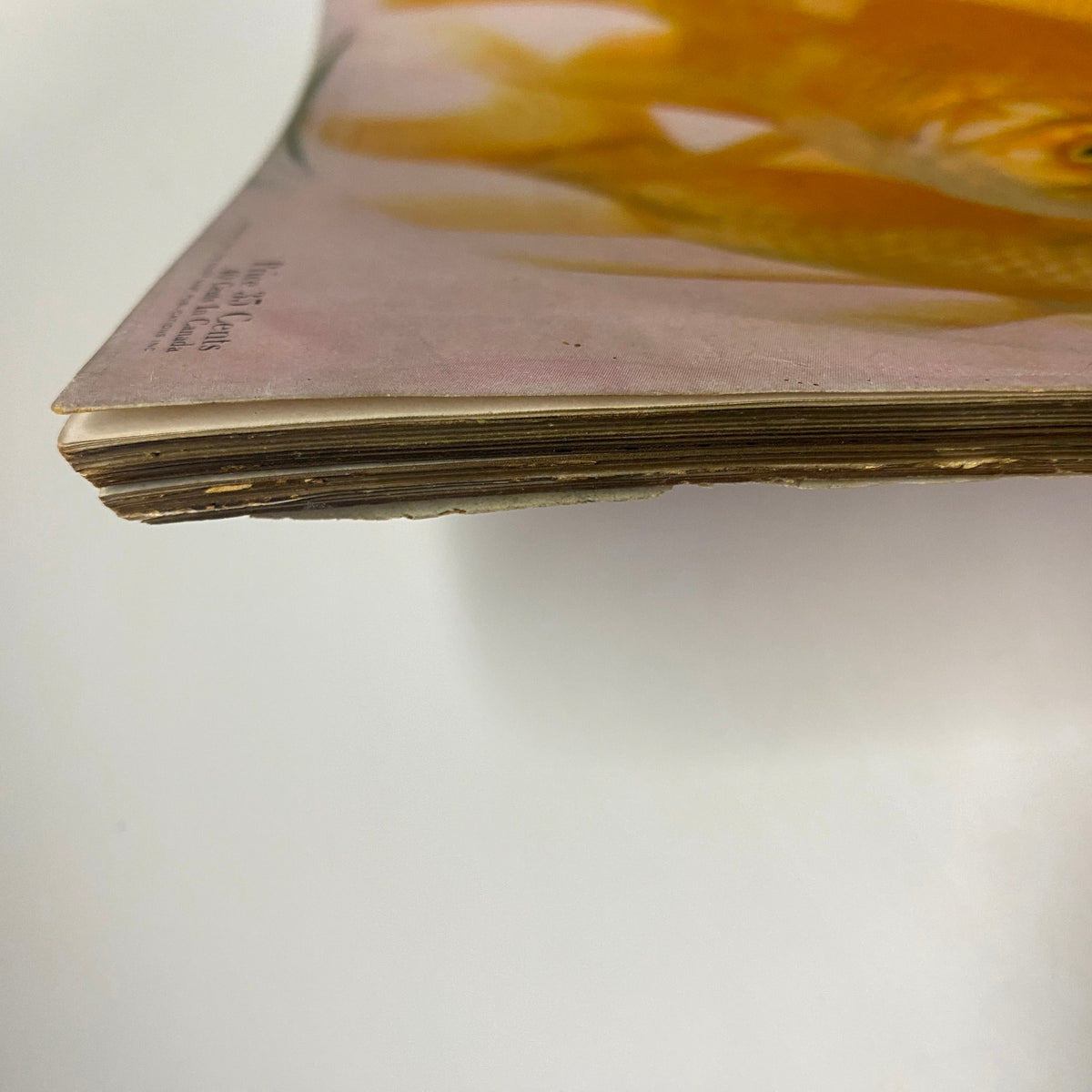 Another angle of the spine of the Vogue Magazine April 15, 1947 Decorating Issue Cover by Irving Penn, highlighting the aged edges and classic vintage paper texture.