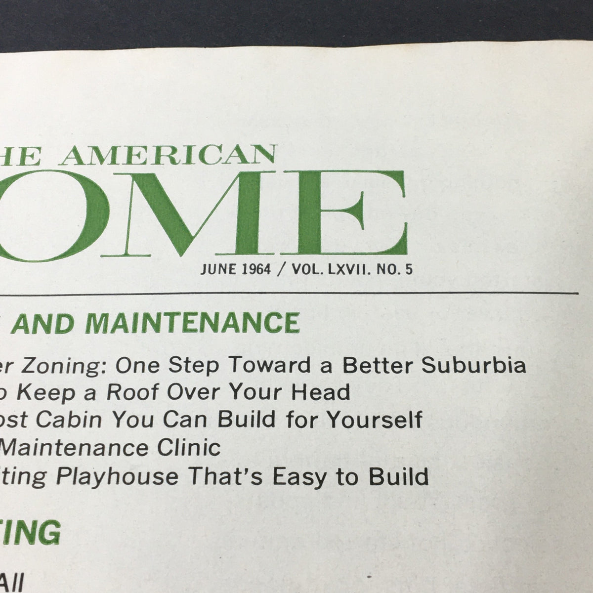 Title: VTG The American Home Magazine June 1964 Vol 67 #5 Hang It All; Image shows the header of the magazine with publication details including 'June 1964' and 'Vol. LXVII. No. 5'.
