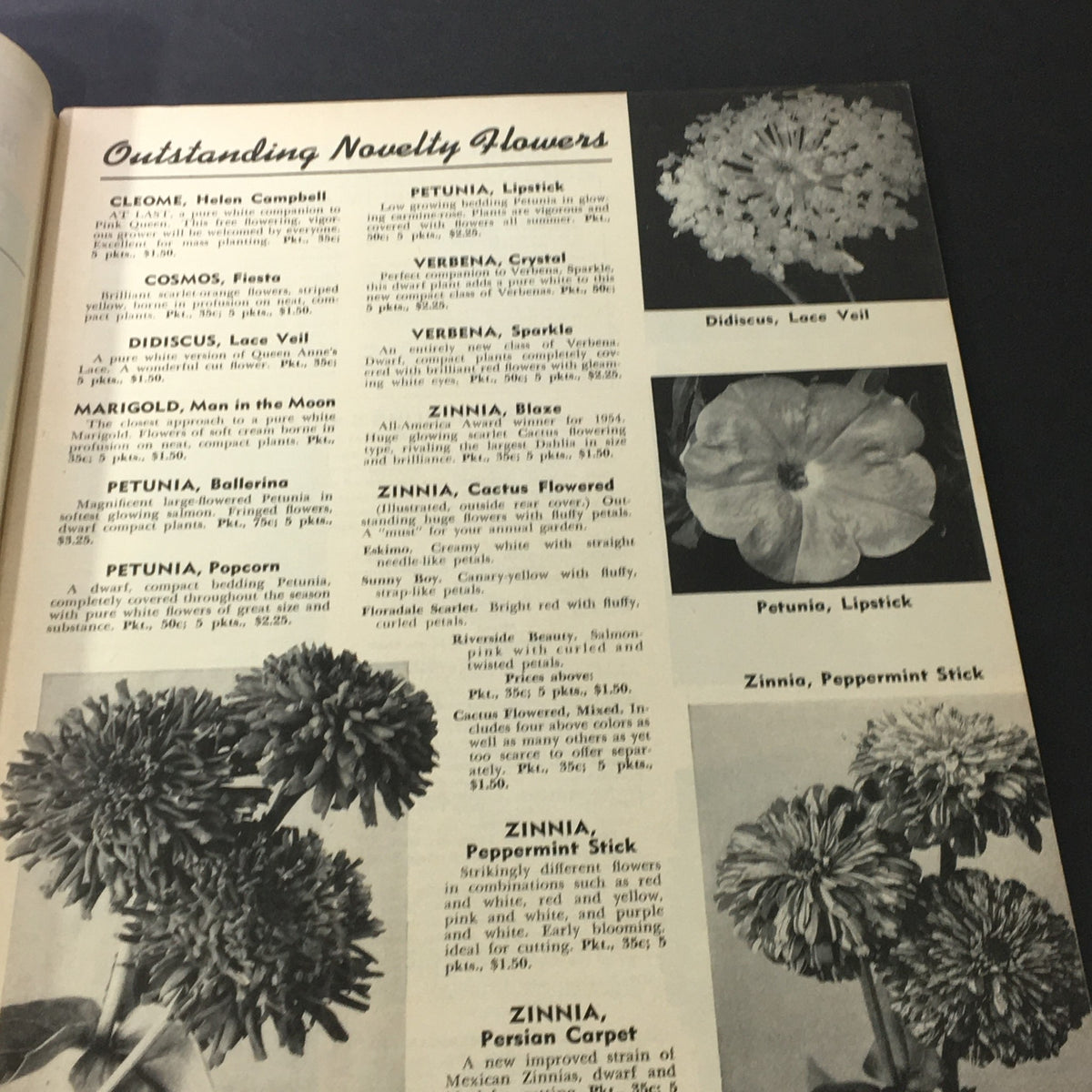 Interior page of 'The Book for Garden Lovers Spring 1954' showcasing a variety of outstanding novelty flowers including petunias, marigolds, and zinnias.