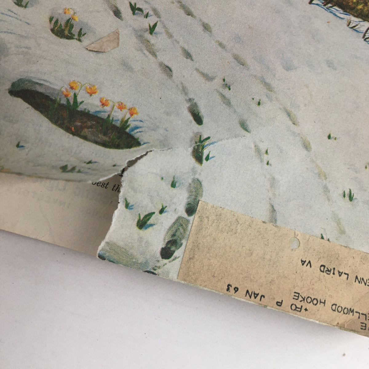 Close-up of a vintage magazine page from the Saturday Evening Post May 5, 1962, showing a torn corner with flowers and a visible address label.