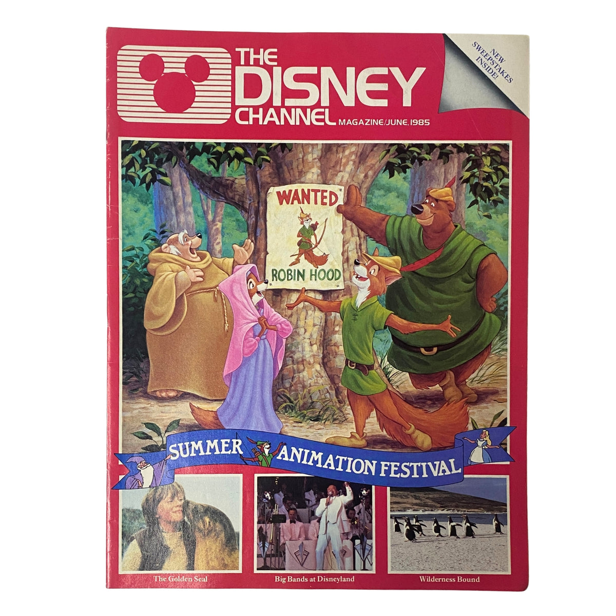 The Disney Channel Magazine June 1985 cover featuring a colorful illustration of Robin Hood and his Merry Men, promoting the Summer Animation Festival.