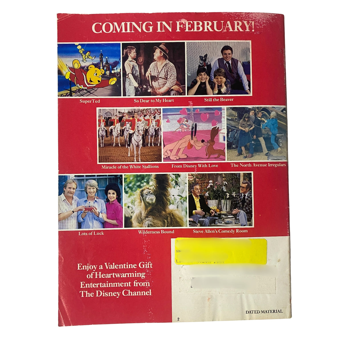 The Disney Channel Magazine January 1985 back cover featuring a collage of advertisements for upcoming programming including 'SuperTed,' 'So Dear to My Heart,' and 'Still the Beaver.' The cover showcases various featured characters and shows with a retro design.