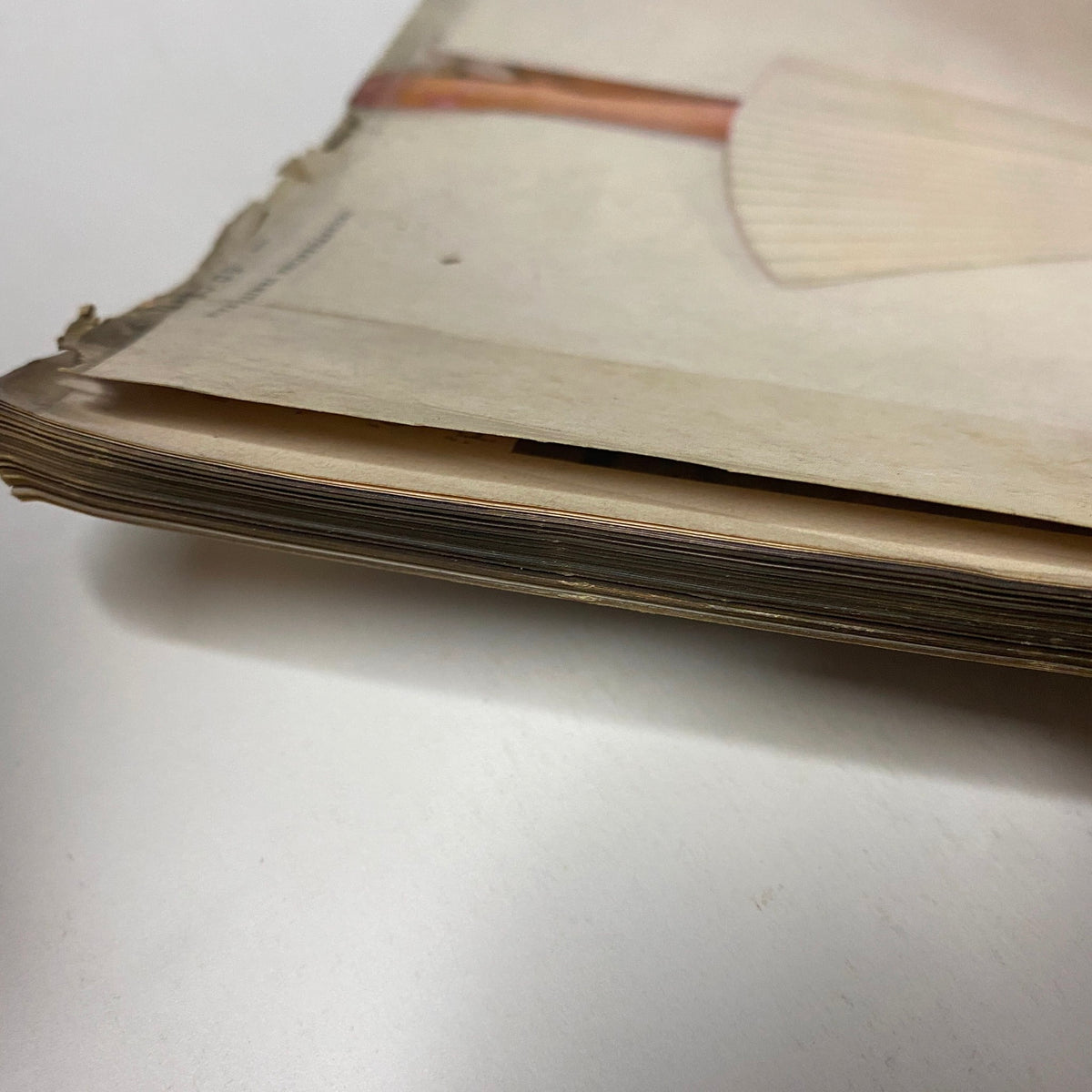 Close-up of the spine of Vogue Magazine January 1952 Suzy Parker by Erwin Blumenfeld GD Interior, highlighting the aged and worn pages typical of vintage collectibles.