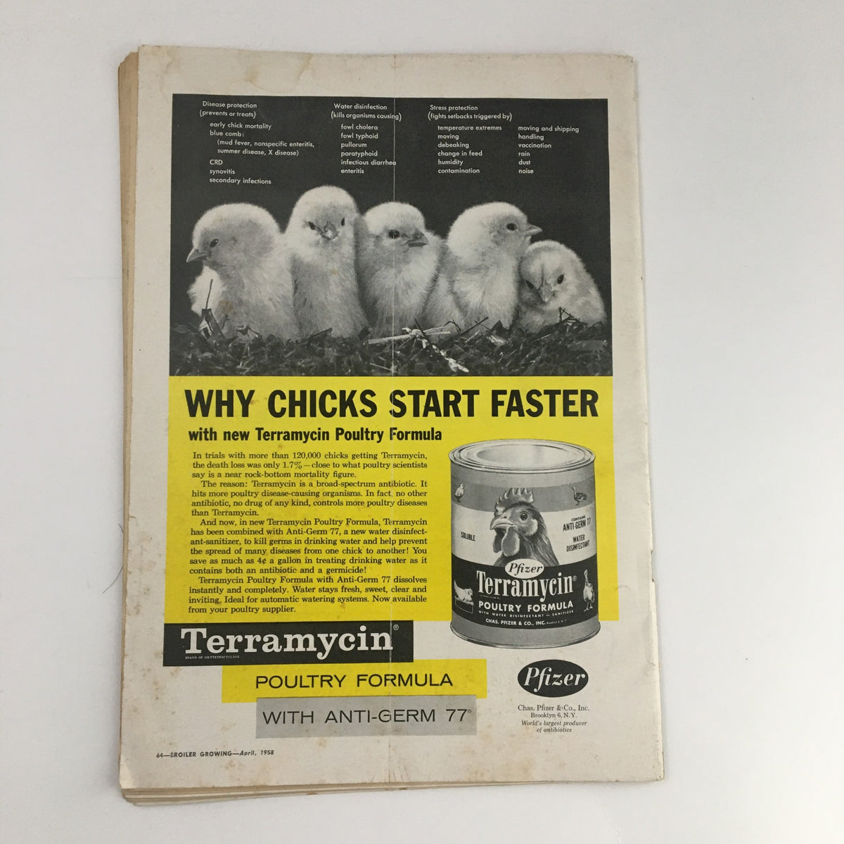 April 1958 issue of Broiler Growing Magazine featuring an advertisement for Terramycin Poultry Formula, showcasing chicks and highlighting benefits of the product.