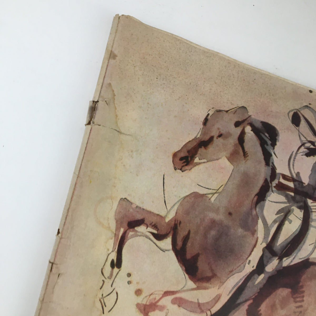 Artistic depiction of a horse from The Instructor Magazine November 1958, revealing the beauty of equine art featured in the issue.