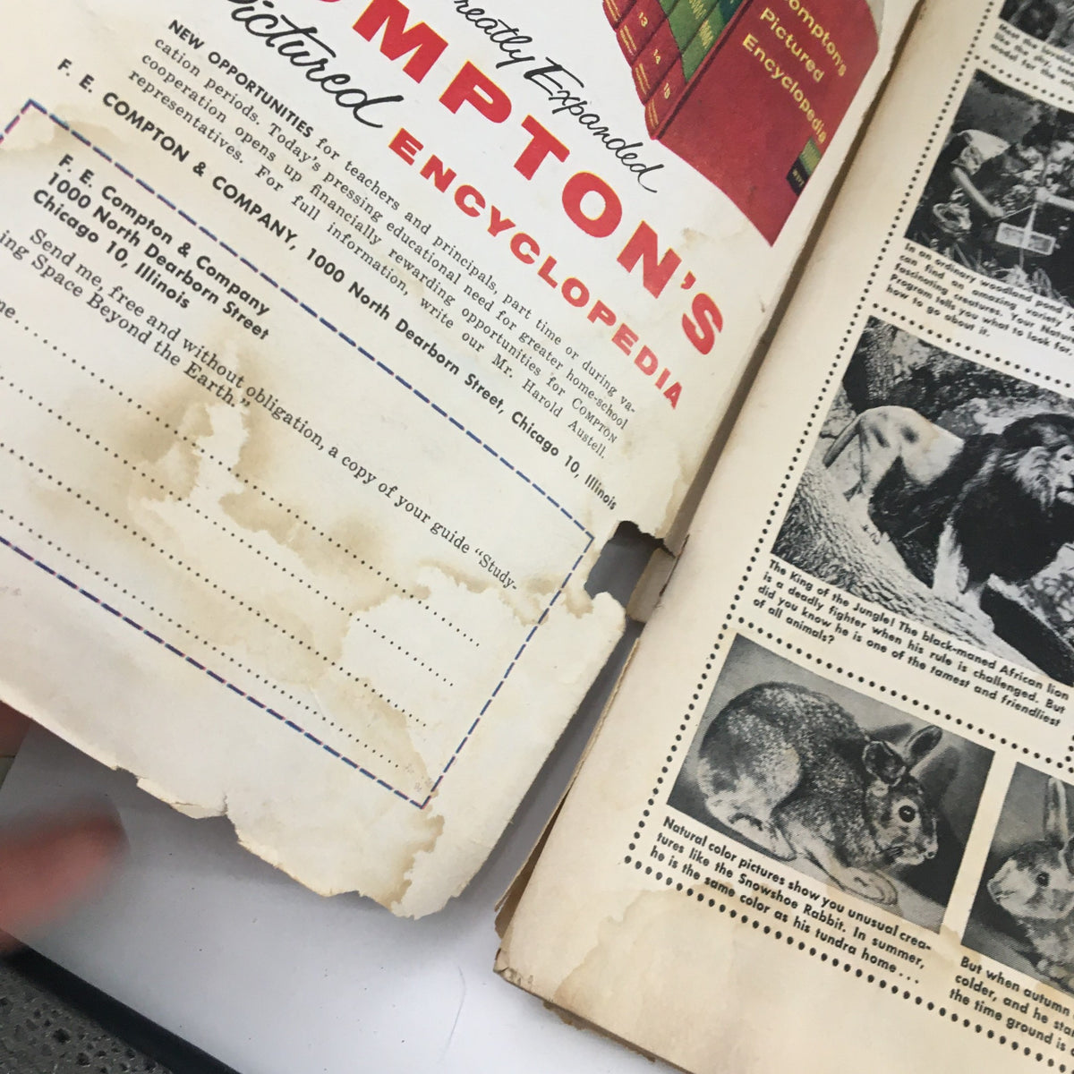 Interior page of The Instructor Magazine November 1958, displaying additional content and an advertisement hinting at vintage educational resources.