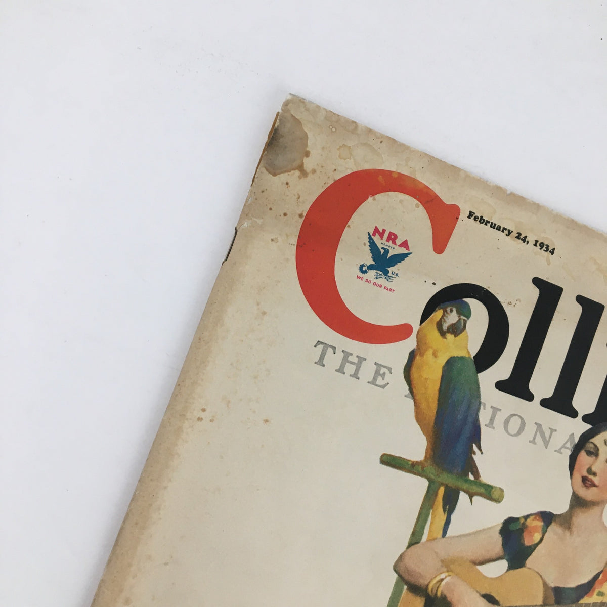 Close-up view of the top portion of VTG Collier's Magazine February 24 1934, showcasing the magazine's title and a parrot.