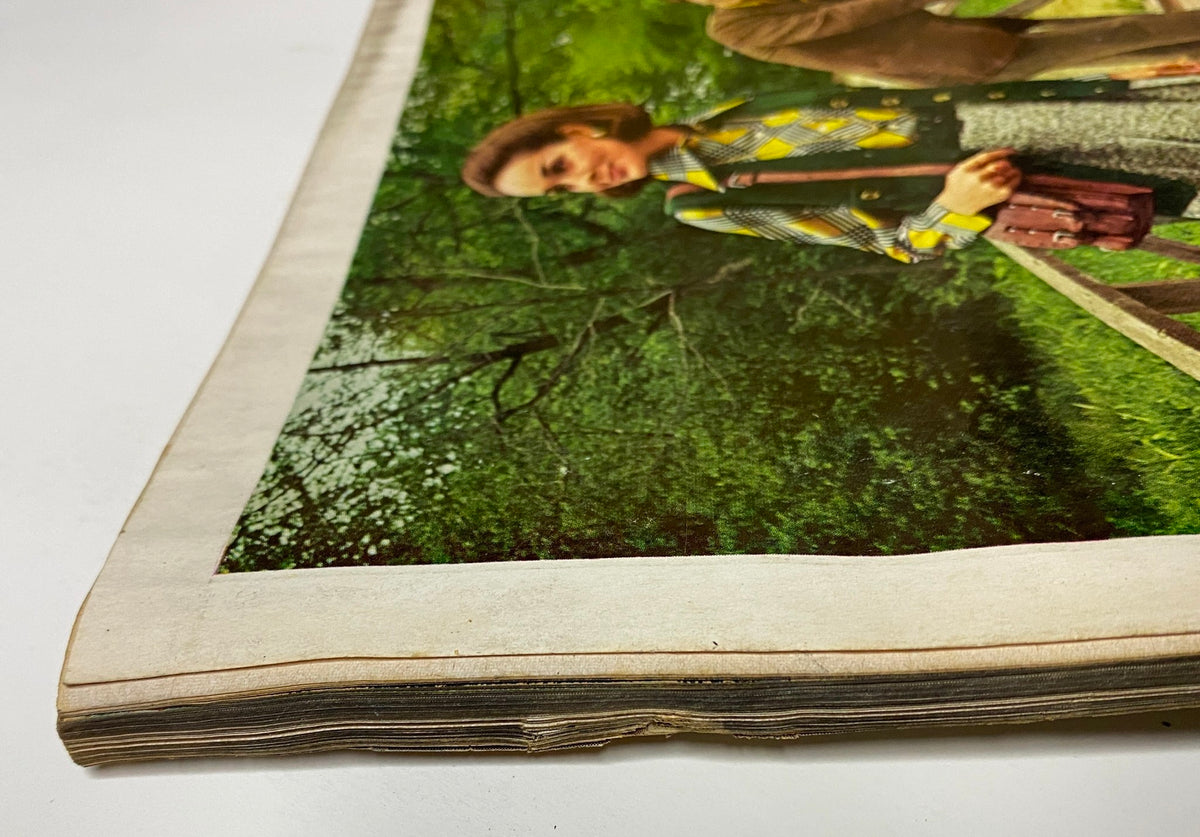 Vogue Magazine October 15, 1969 Susanne Schöneborn Cover by Irving Penn showing a close-up of an open magazine page with fashion models in natural settings, illustrating vintage styles.