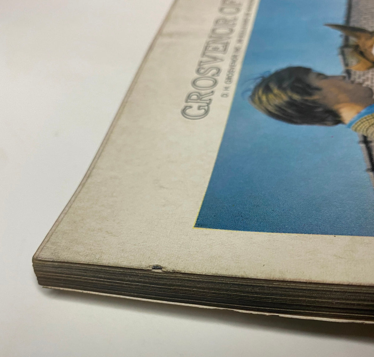 Vogue Magazine November 1, 1969 Susanne Schöneborn Cover by Irving Penn capturing the side view of the magazine with aged edges, indicating preservation of mid-century publication.