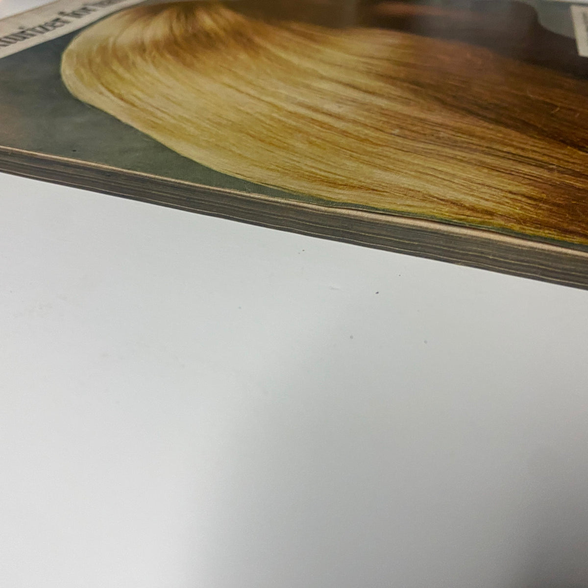 Another close-up of the spine of Vogue Magazine August 15, 1969 demonstrating its patina, featuring Goldie Hawn cover by Irving Penn.
