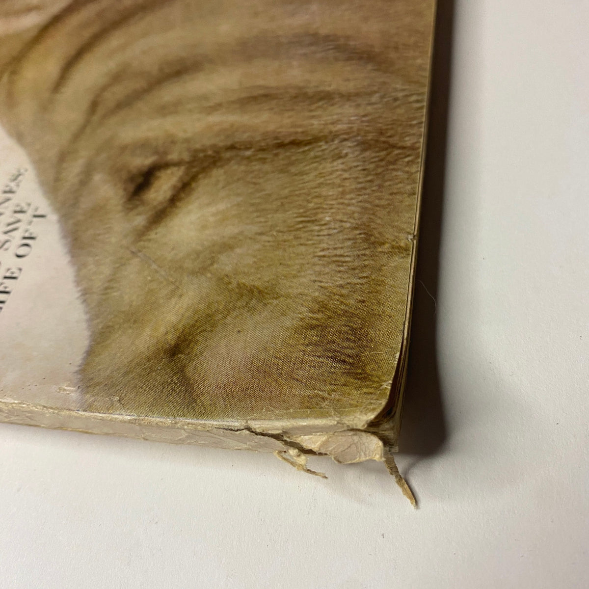 Detailed view of the cover corner of Vogue Magazine, October 1, 1964, showcasing signs of aging and wear, emphasizing its collectible nature.