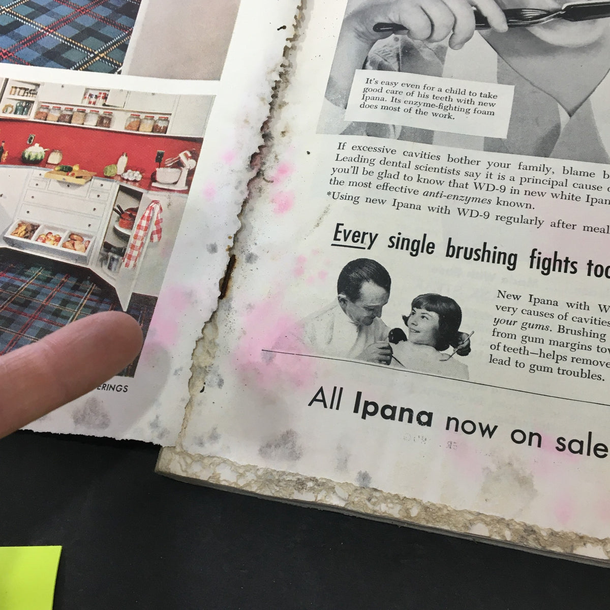 Close-up of an advertisement from the VTG Journal Magazine February 1954, promoting Ipana toothpaste and its benefits for dental health in a family setting.