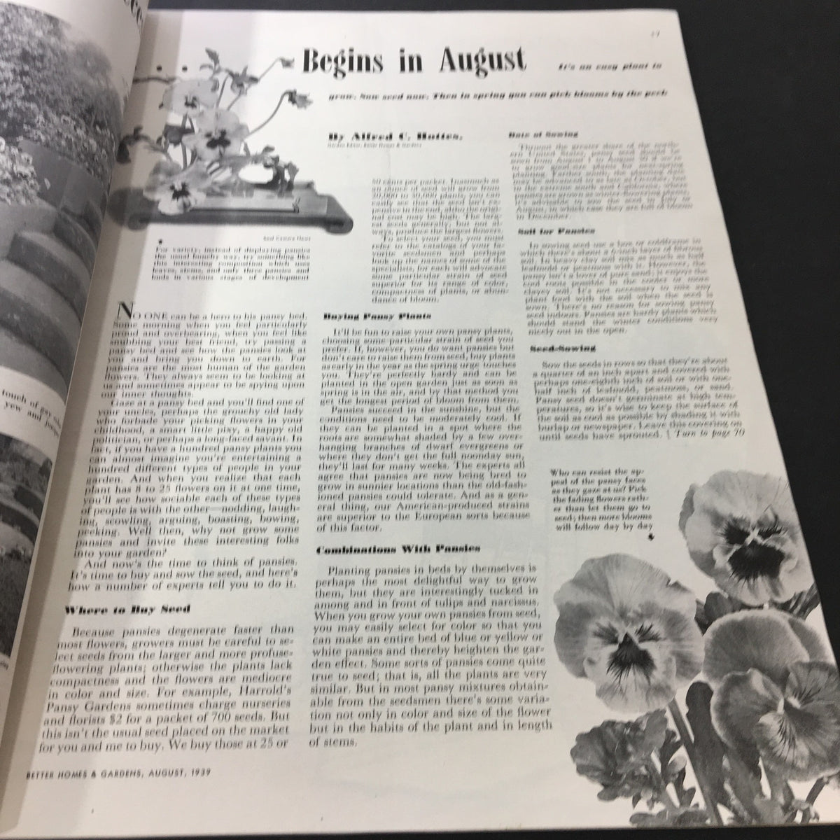 Content from VTG Better Homes & Gardens August 1939 Vol 17 #12 discussing gardening tips, featuring text on how to care for various plants.