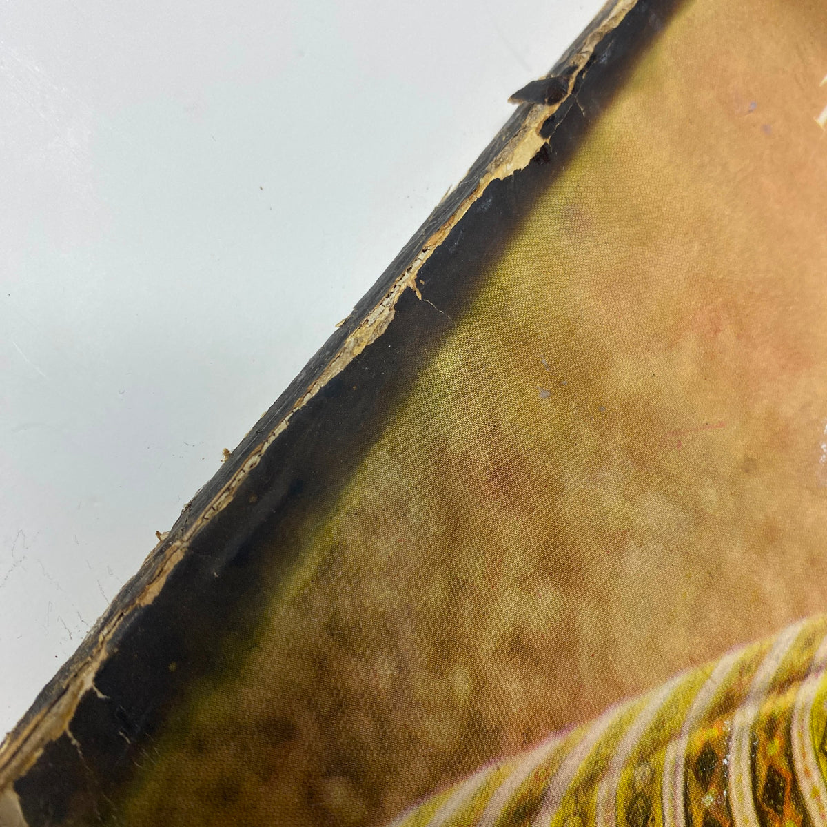 Close-up of the spine of Harper's Bazaar Magazine April 1955 showing wear and tear, highlighting its vintage condition.