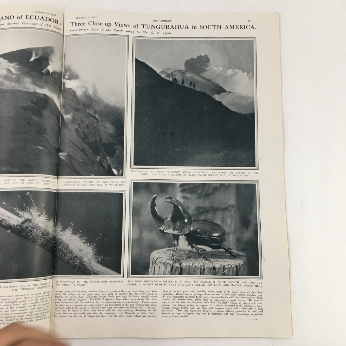The Sphere Newspaper October 24 1925 showcasing photographs of Tungurahua in South America and a close-up of a beetle.