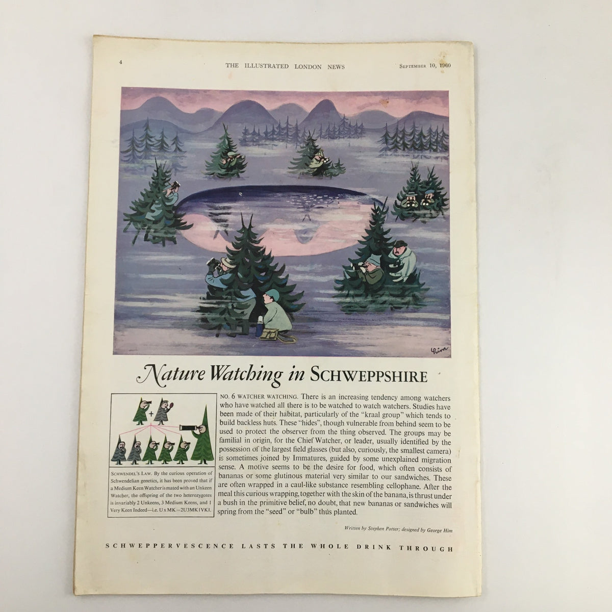 An artistic illustration from The Illustrated London News dated September 10, 1960, depicting 'Nature Watching in Schweppshire.' The image emphasizes the playful charm of nature observation, featuring whimsical characters among trees, highlighting a blend of art and nature.