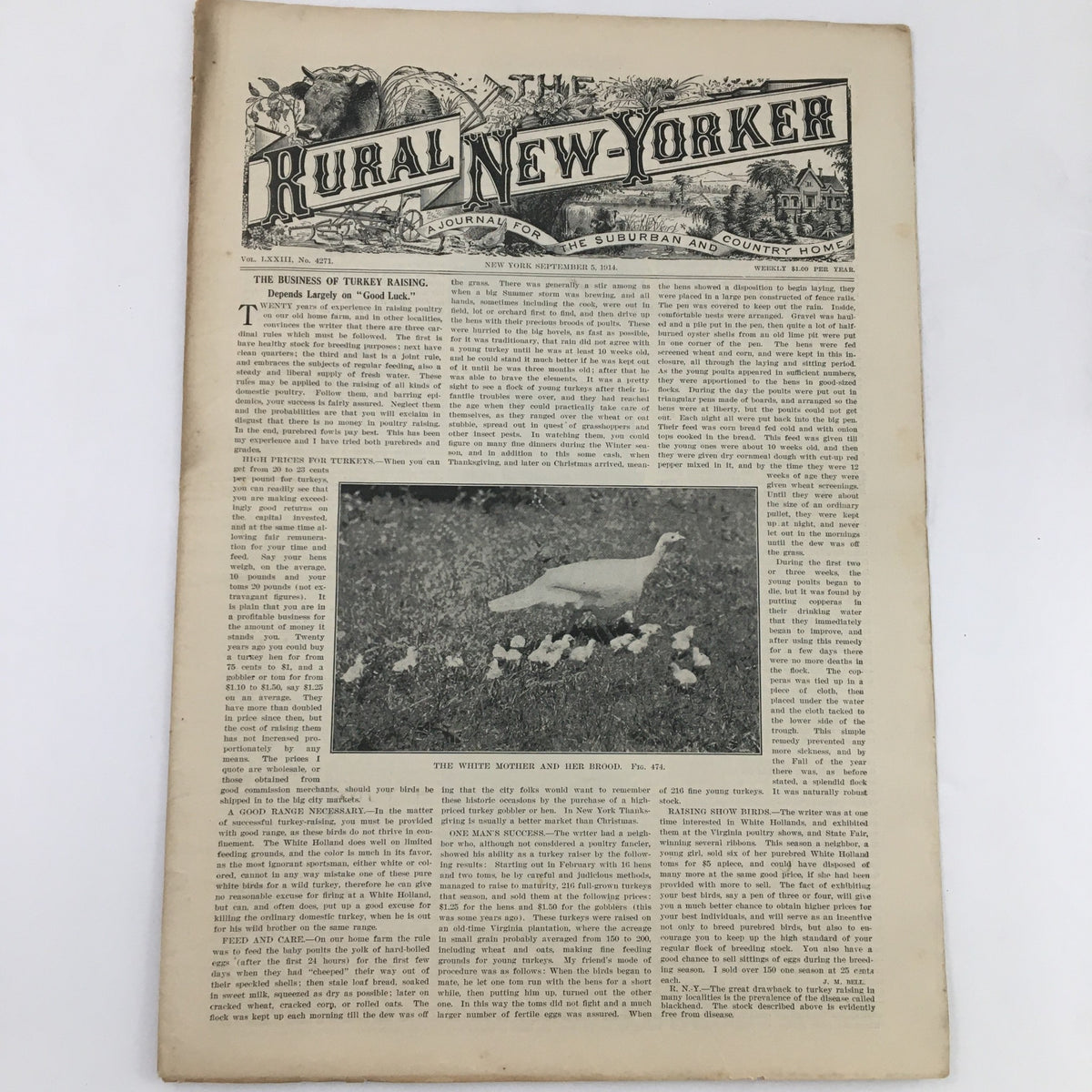 The Rural New Yorker Magazine September 4 1914 cover featuring the title and the article 'The White Mother and Her Brood' with rural illustrations.