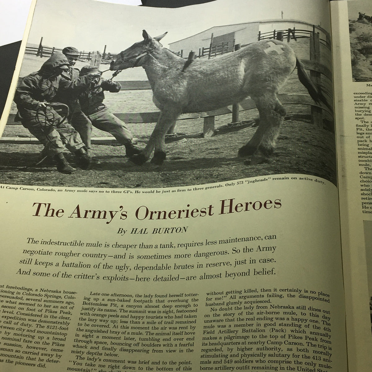 Article titled 'The Army's Ornery Heroes' in The Saturday Evening Post July 11 1953, depicting soldiers with an army mule.